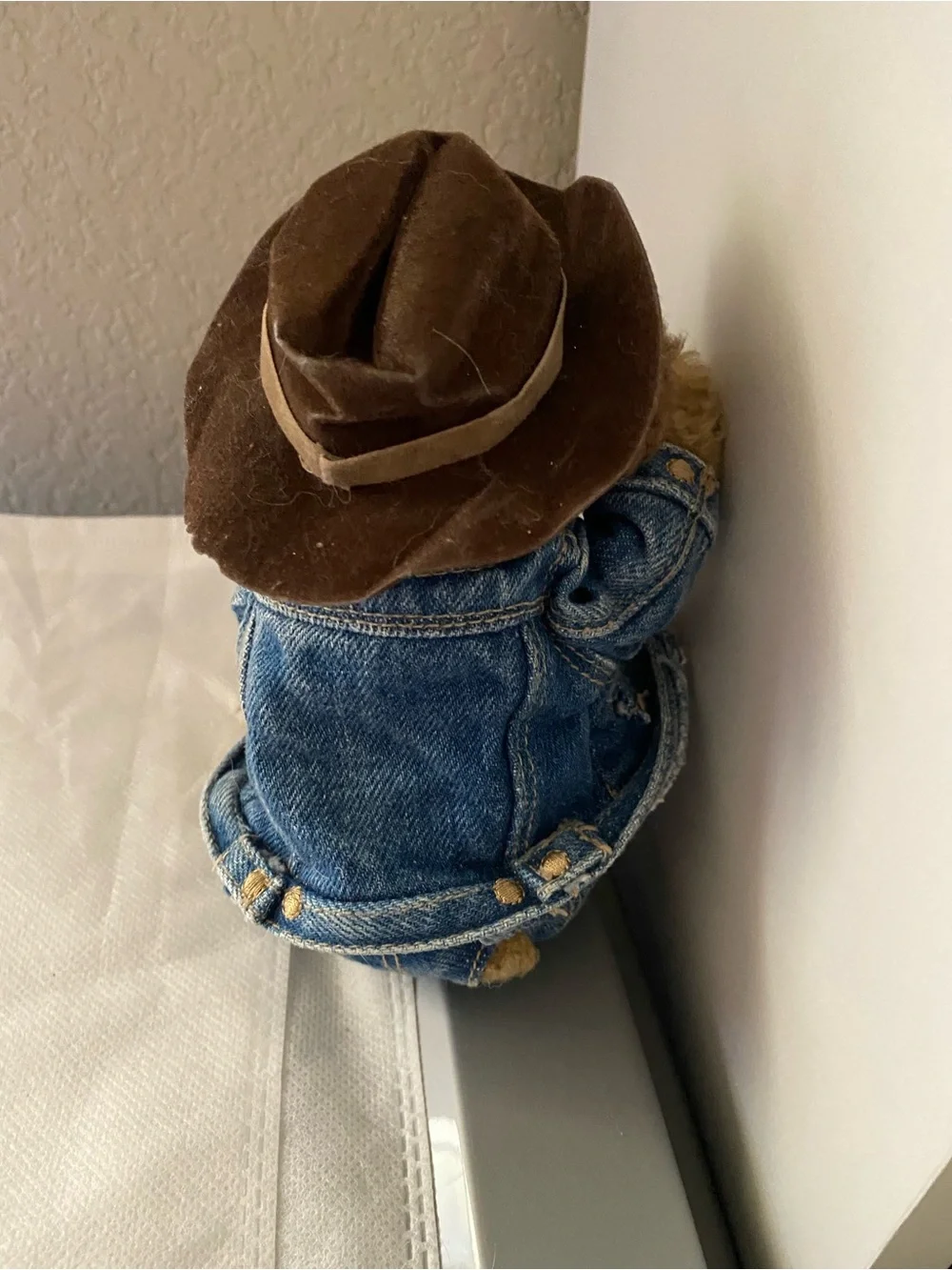 Old Navy Plush Toy Dog Cowboy Hat Jeans Jacket 6 Inch Branie Curly Hair Puppy